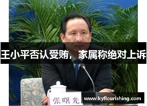 王小平否认受贿，家属称绝对上诉